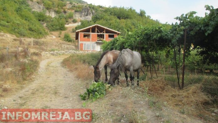 Слънчево време и днес