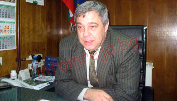 Спада търсенето на елхи в Кюстендилско