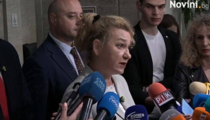 Стела Николова от ДБ за „къщите на ужасите“: Трябва незабавно да се избере омбудсман