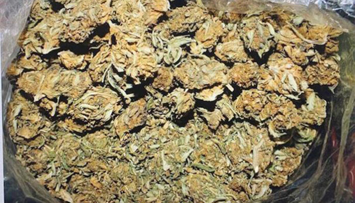 Столични полицаи иззеха близо 13 килограма марихуана