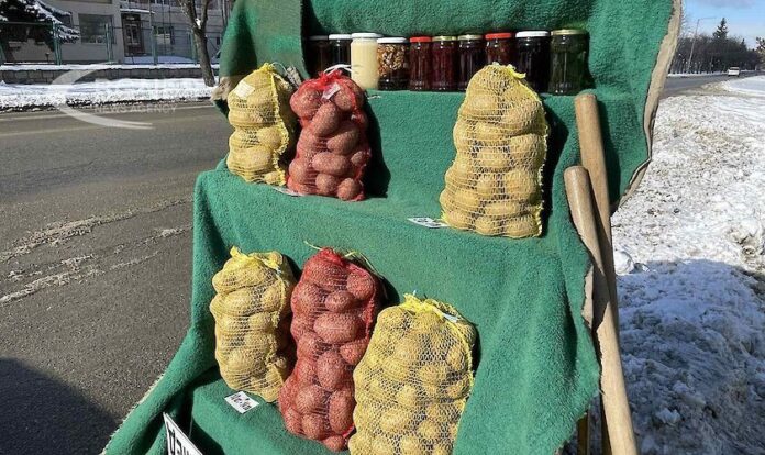 Субсидираните европейски картофи убиват вкусния самоковски картоф