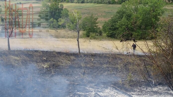 Сухи треви пламнаха край село Падеш