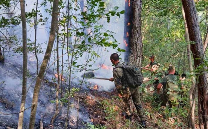 Сухопътни войски отново в битка с огъня