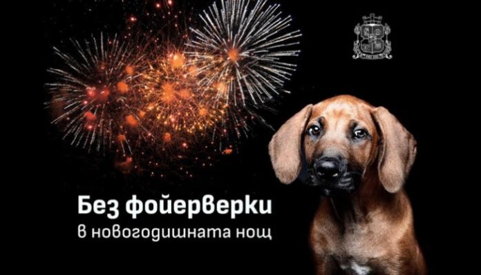 Светлинно шоу вместо заря в новогодишната нощ в София