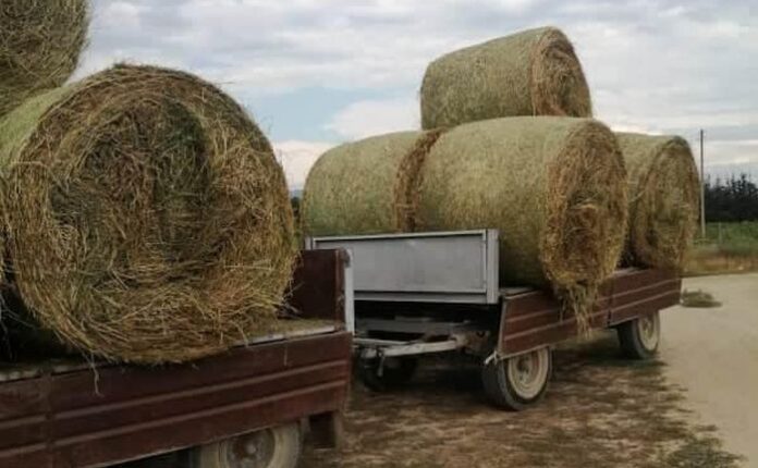 Създаденото от децата в  учебно-опитните стопанства трябва да се цени и пази