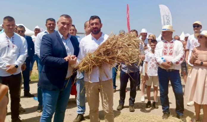 Тахов: Над 6 млн. тона е очакваната реколта от пшеница за 2024 г.