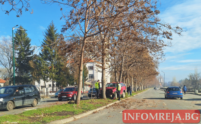 Тежко ПТП в центъра на Кюстендил: Водач се заби в дърво