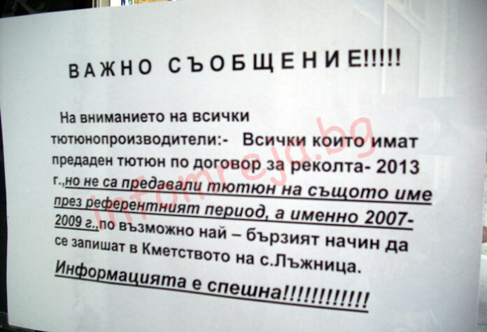 Тютюневите квоти за 2014 г. драстично намалени в Гоцеделчевско