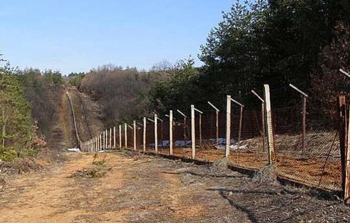 Трафиканти се правят на гъбари и залягат по зелената ни граница с Гърция