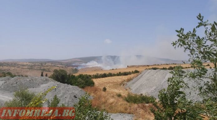 Треви и храсти пламнаха между Благоевград и Мурсалево