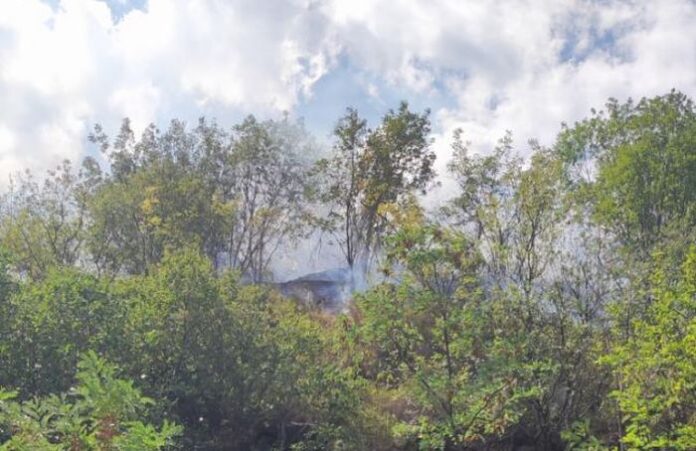 Три екипа гасят пожар в сухи треви на Е-79 край Кресна