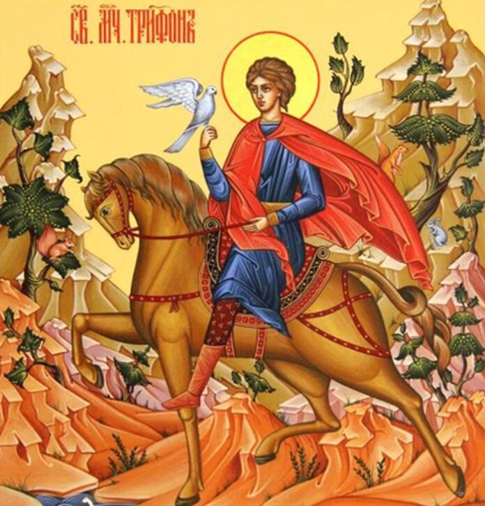 Трифоновден e
