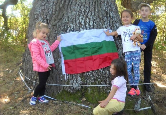 Туристи от ТД „Осогово“ – Кюстендил посетиха Влахинската планина