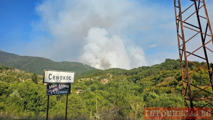 Търсят доброволци за обходи в Сенокос