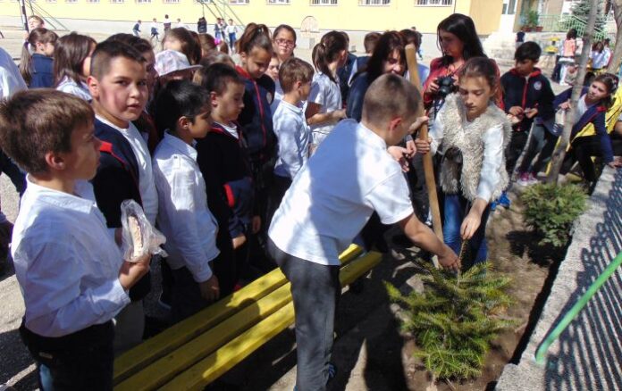 Ученици от Дупница с активно участие в кампанията „Засади дърво - спаси гората“