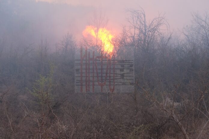 Умишлен пожар в село Димитриево