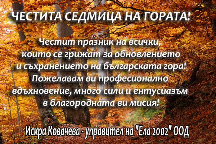 Управителят на 