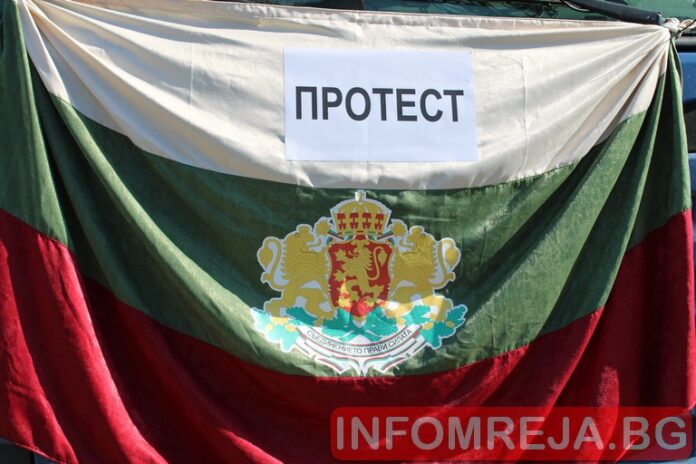 В Благоевград искат по-строги наказания за убийците на животни