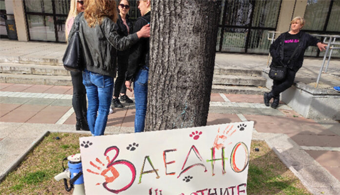 В Благоевград протестираха срещу насилието над животни