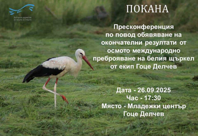 В Гоце Делчев обявяват резултатите от VIII Международно преброяване на белия щъркел в Югозапада