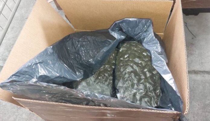 В склад на спедиторска фирма: Откриха рекордно количество от 356 кг марихуана в столицата