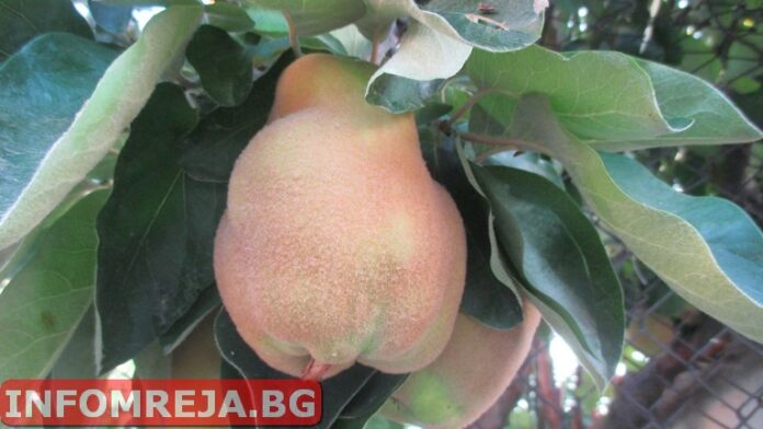 В страната нахлува хладен въздух