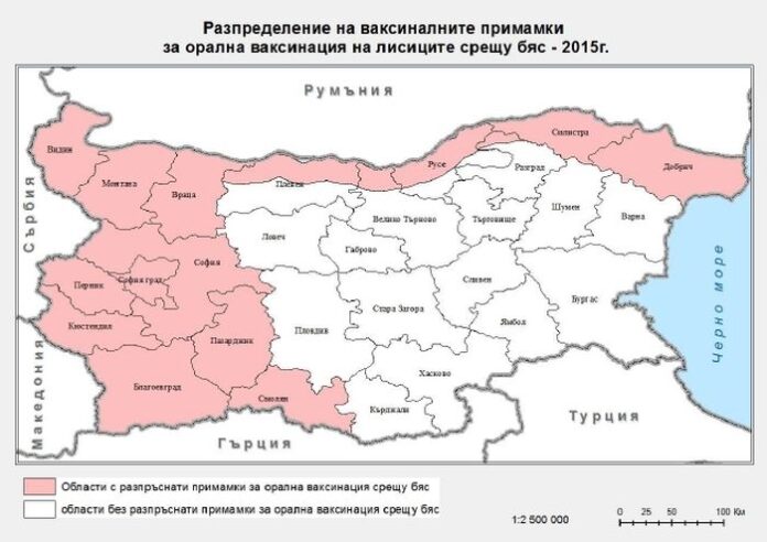 Ваксинират срещу бяс дивите хищници в Кюстендилско
