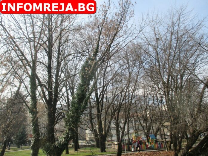 Валежите спират