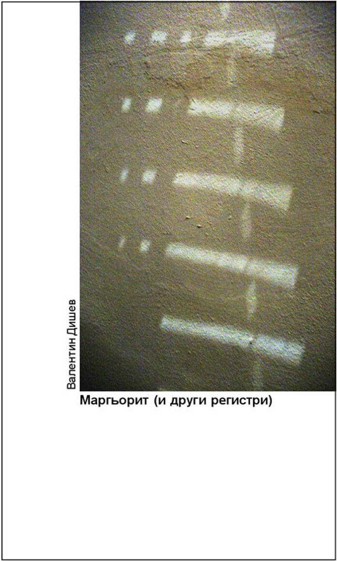 Валентин Дишев представя новата си книга „Маргьорит (и други регистри)”