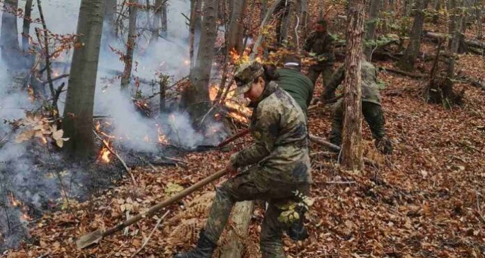 Военни помагат в потушаването на големия горски пожар в Родопите