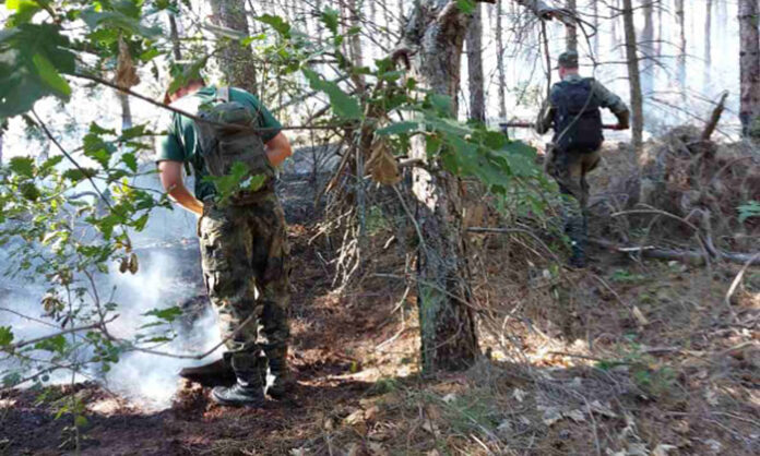 Военни помагат за потушаването на големия пожар в Свиленградско