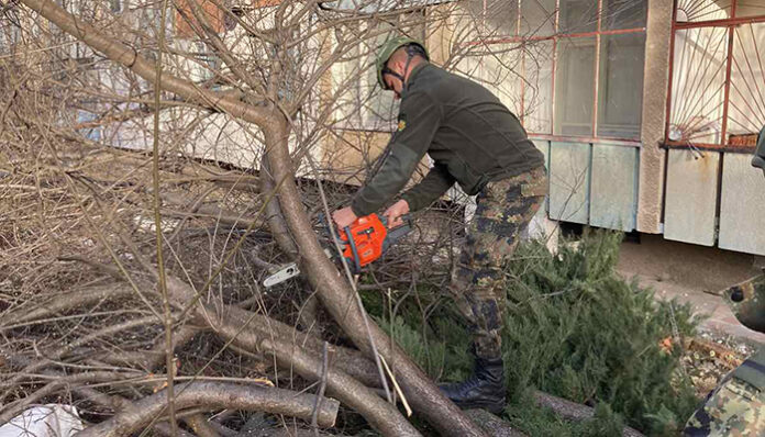 Военни се включиха в разчистването след вятъра във Враца