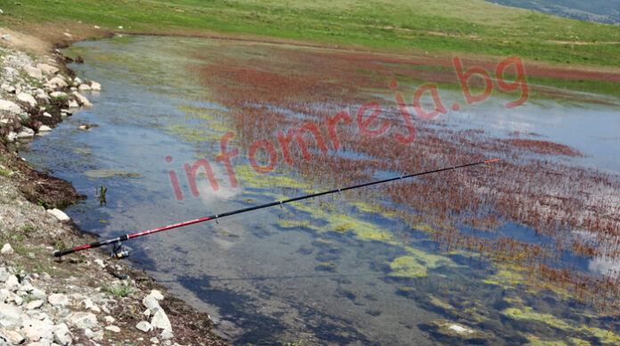 Волтова дъга уби рибар в град Рила