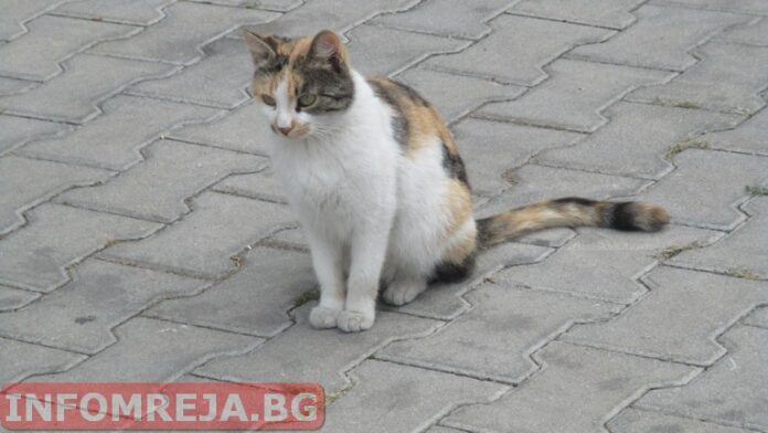 Времето днес ще бъде облачно
