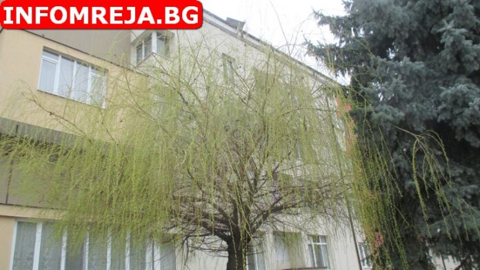 Времето днес ще бъде слънчево