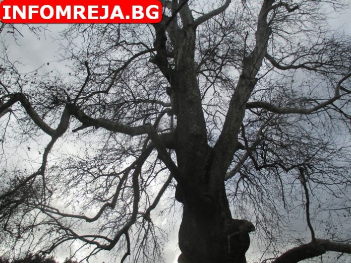 Времето продължава да бъде облачно