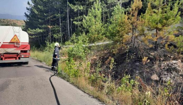 Всички пожарни и доброволци гасят огъня между Тева и Мошино в Перник