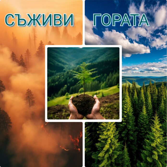„Съживи гората“ – съвместна кампания на ЮЗДП и ВВС
