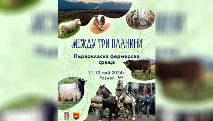 За първи път между трите планини правят най-голямото животновъдно изложение