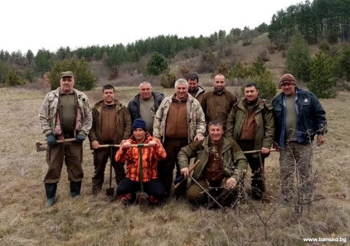 За Седмицата на гората: Засадиха фиданки в община Банско