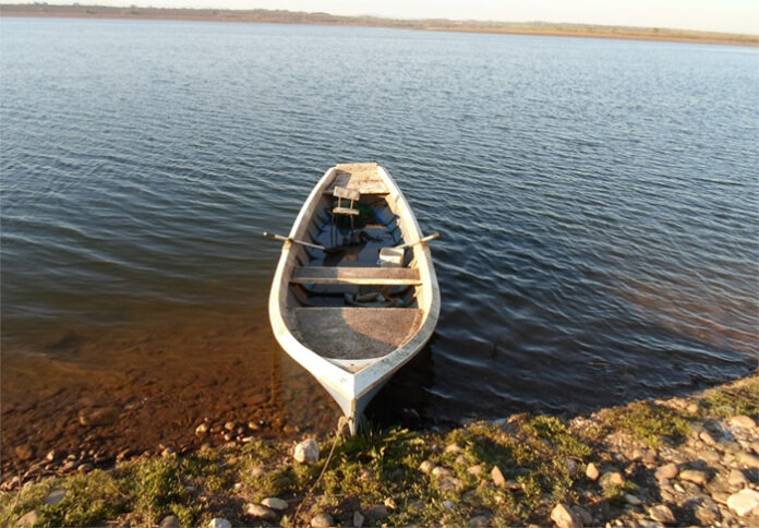 Забранява се риболовът на бели пясъчни миди в Черно море