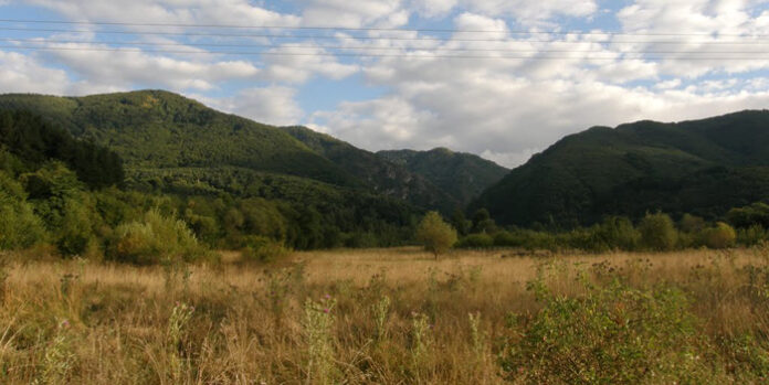 Задържаха 28 бежанци в района на кюстендилското село Гърляно