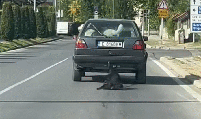 Задържаха банскалията