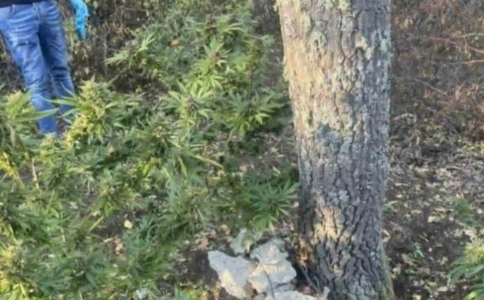 Задържаха мъж за кражба на ток в Ковачевско