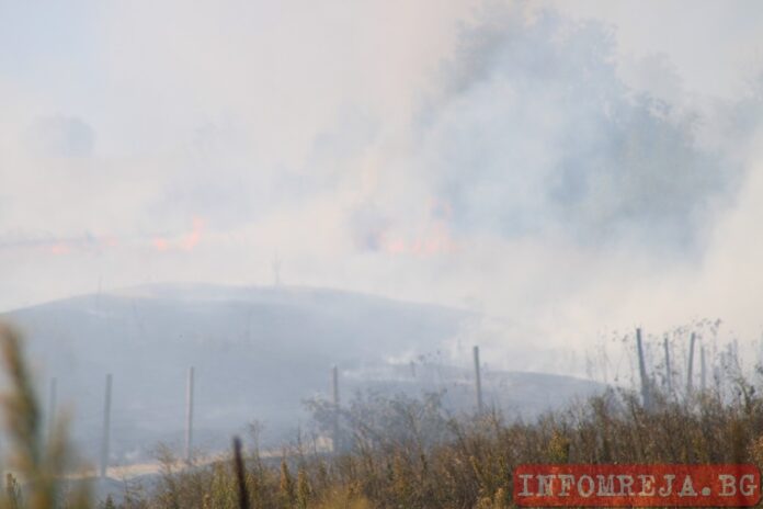 Задържаха мъж за палеж в Старозагорско