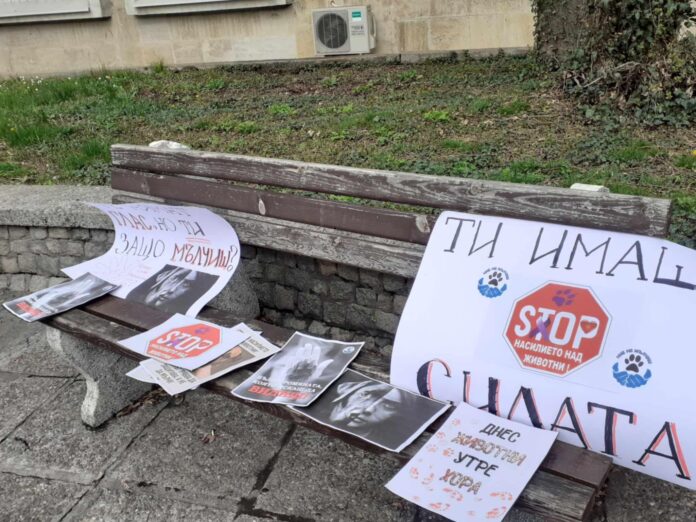 Заедно можем да спрем жестокостта! Кюстендилци стягат втори протест в защита на животните