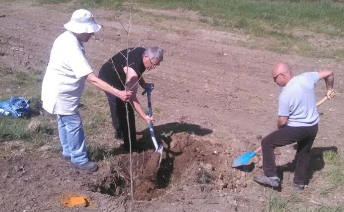 Засадиха над 200 дървесни видове в парк „Рила“ в Дупница
