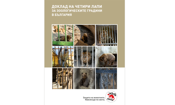 Защо лъвове и мечки все още се отглеждат в лоши условия в български зоопаркове?