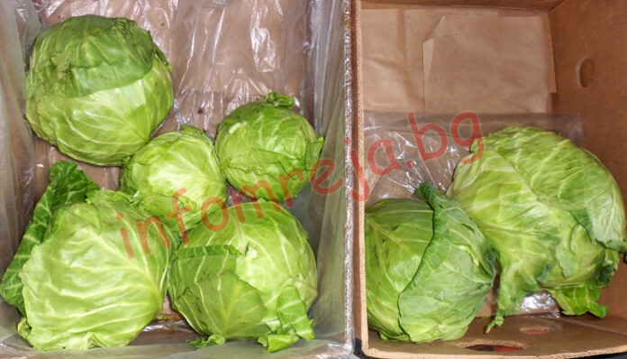 Зимата ще ядем скъпа туршия