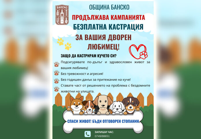 Банско стартира нова кампания за безплатна кастрация на дворни кучета